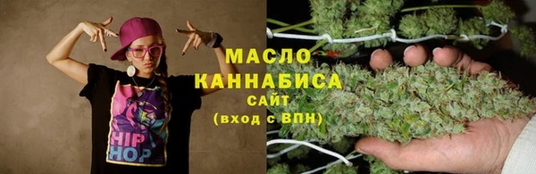 соль ск Надым