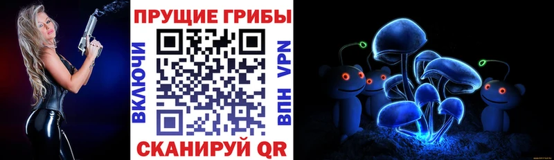 Купить где  Искитим  Галлюциногенные грибы мицелий 